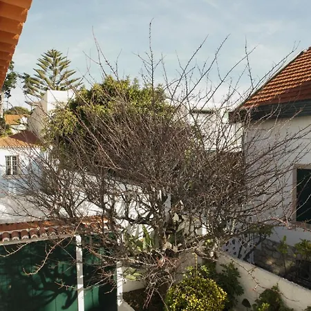 Cushy With Garden In Lägenhet Estoril