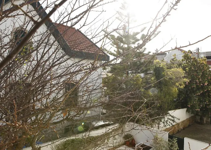 Cushy With Garden In 아파트 에수투릴
